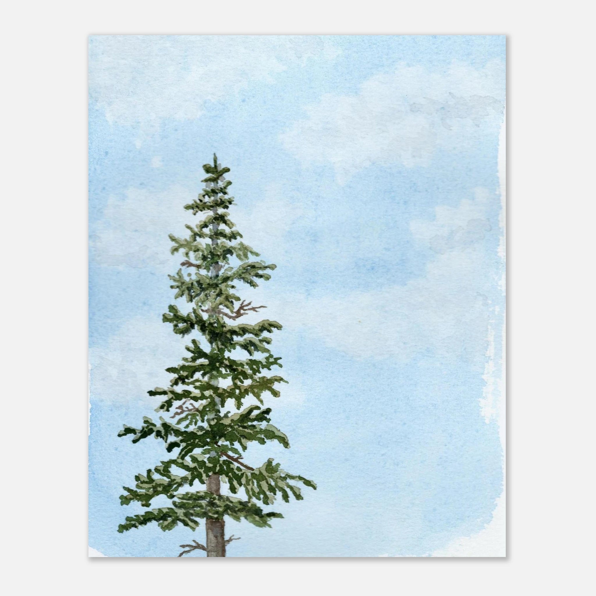 ce4ea3a3-e607-4b67-b383-9b8a54845a40